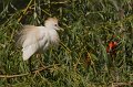 _DSC0580