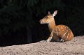 _DSC0084