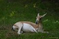 _DSC0108