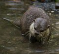 _DSC0391