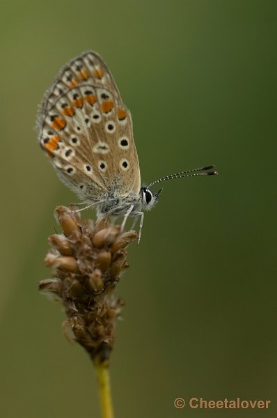 _DSC2247.JPG - Zoomdag Appelzak