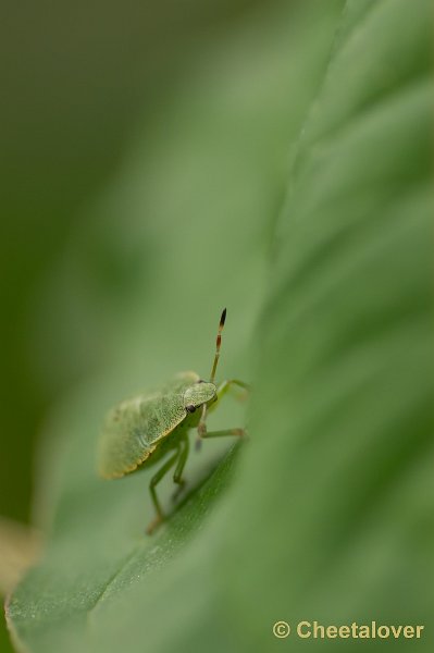 _DSC2326.JPG - Zoomdag Appelzak