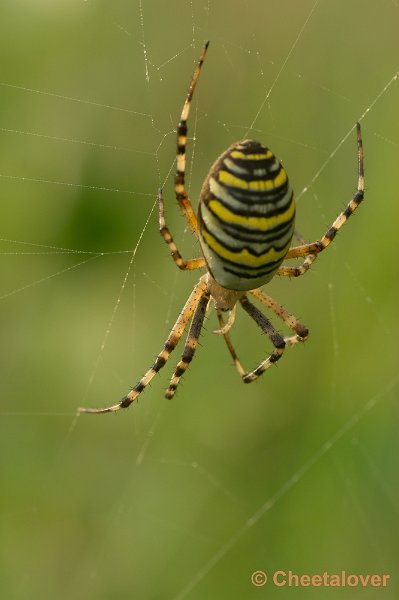 _DSC2361.JPG - Zoomdag Appelzak
