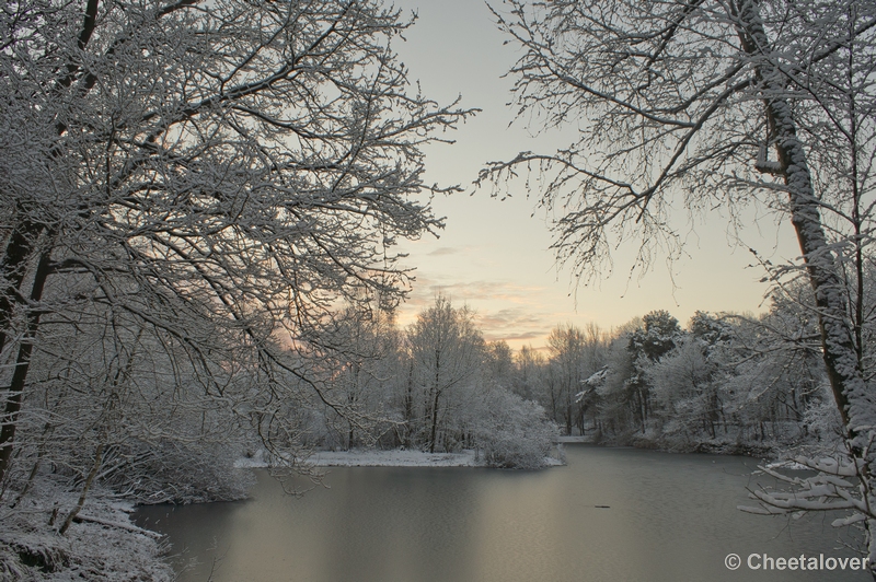 _DSC7281.JPG - Winter in Boswachterij Dorst
