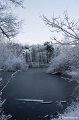 _DSC7264