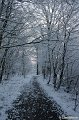 _DSC7278