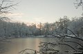 _DSC7294
