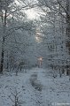 _DSC7303