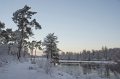_DSC7316