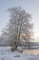 _DSC7321