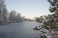 _DSC7336