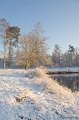 _DSC7351