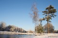 _DSC7354
