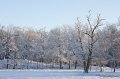_DSC7379