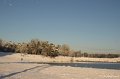 _DSC7382
