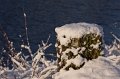 _DSC7394