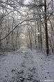 _DSC7417