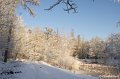 _DSC7432