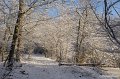 _DSC7438