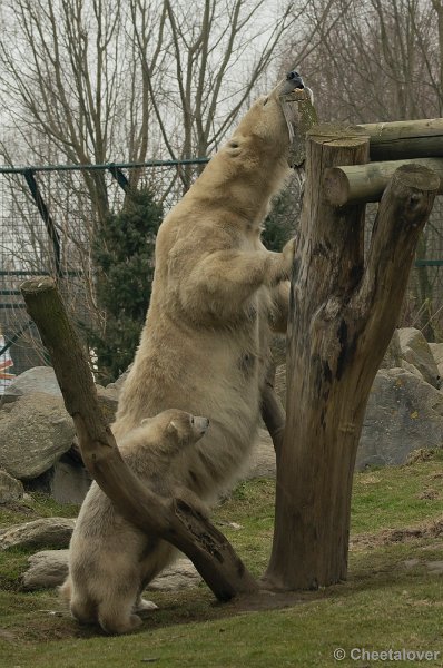 _DSC9966.JPG - Frimas, Noordje en Pixel in Dierenrijk