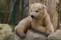_DSC7903kopie