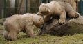 _DSC7938kopie
