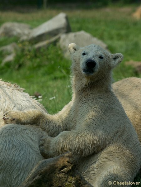 _DSC7516.JPG - Frimas, Noordje en Pixel