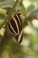 _DSC6944kopie