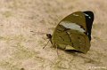 _DSC7240kopie