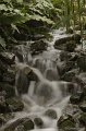 _DSC7019