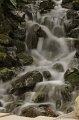 _DSC7020