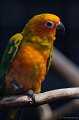 _DSC7556