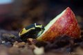 _DSC7567