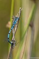 _DSC7590