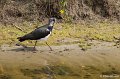 _DSC7608