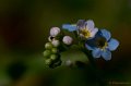 _DSC6925