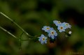 _DSC6928