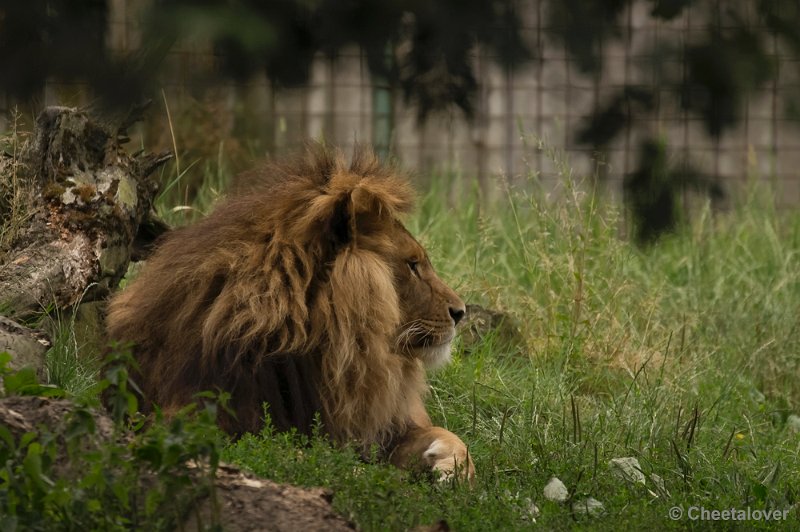 _DSC8667.JPG - Olmense Zoo