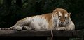 _DSC8630