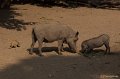 _DSC8082