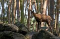 _DSC6676