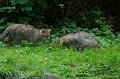 _DSC6790