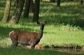 _DSC6813