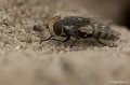 _DSC7690