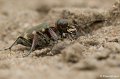 _DSC7729