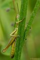 _DSC7780