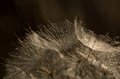 _DSC7982