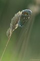 _DSC8005