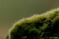 _DSC2728