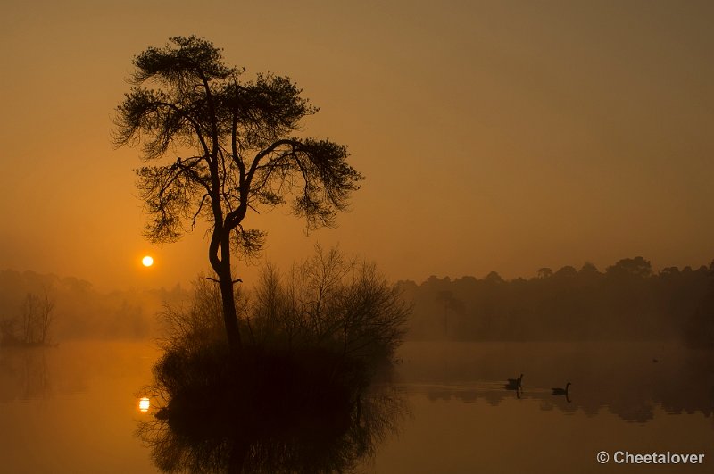 _DSC8794-2.JPG - Zonsopkomst Oisterwijkse Vennen